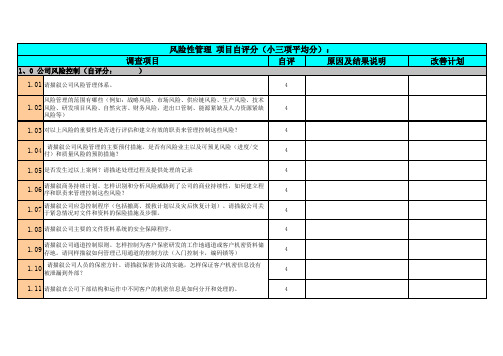 供应商调查问卷(风险性管理 项目自评分)