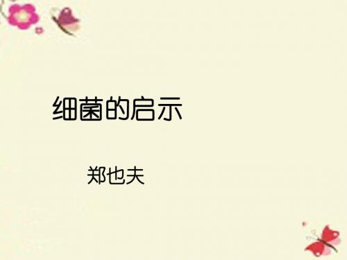 北师大版语文八下第3课《细菌的启示》ppt课件1