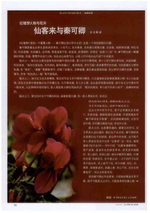 红楼梦人物与花卉  仙客来与秦可卿