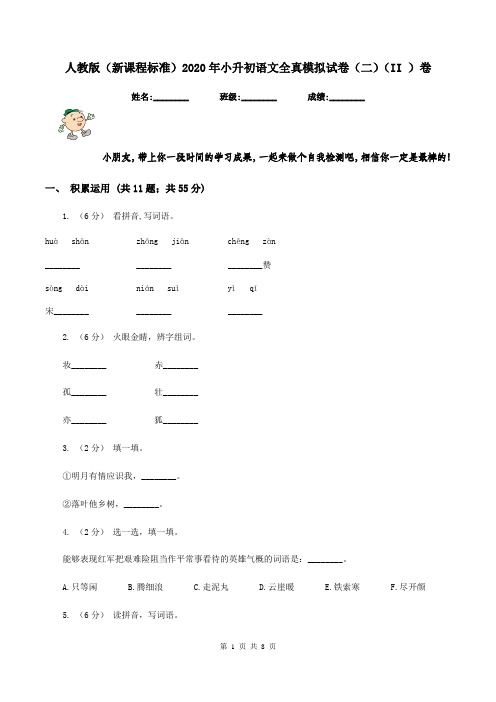 人教版(新课程标准)2020年小升初语文全真模拟试卷(二)(II )卷
