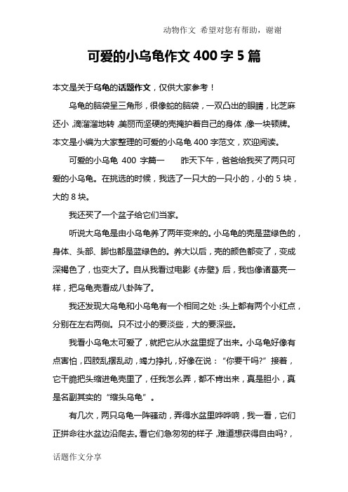 可爱的小乌龟作文400字5篇