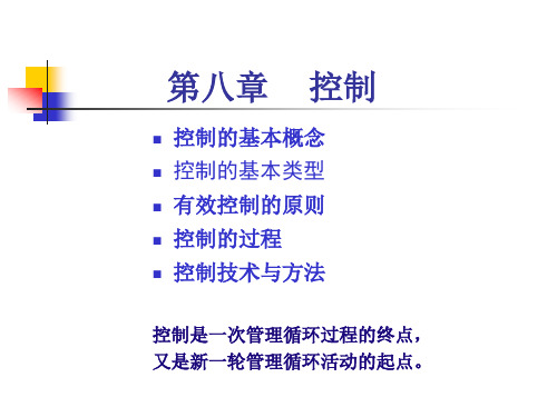 第8章管理的控制职能