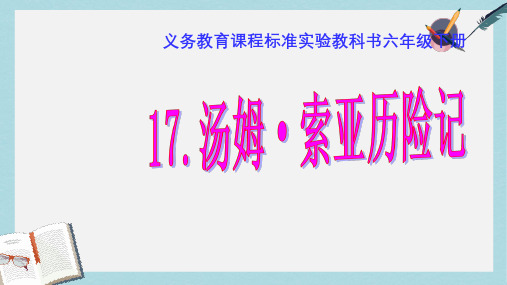 人教版小学语文六年级下册《汤姆·索亚历险记》优秀课件 梗概ppt课件