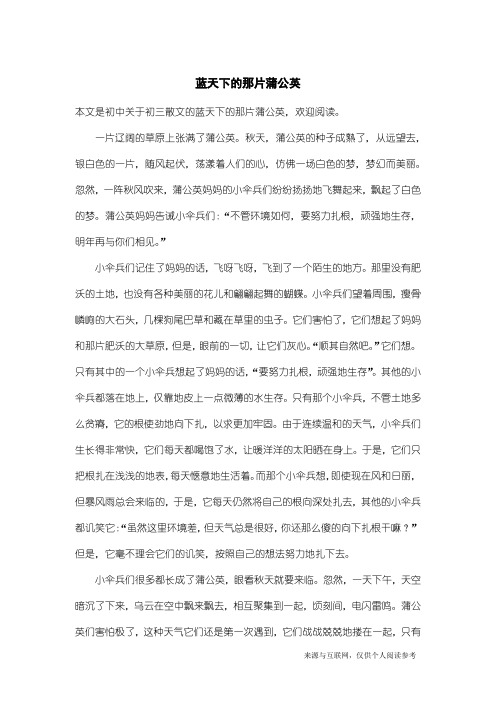 初三散文：蓝天下的那片蒲公英