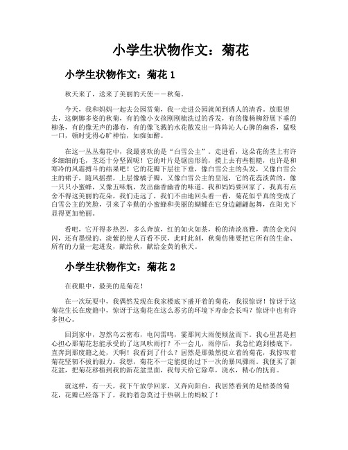 小学生状物作文菊花