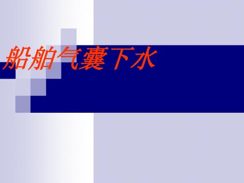船舶气囊下水2