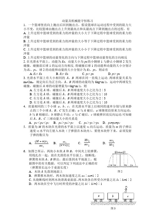 动量及机械能守恒辅导练习