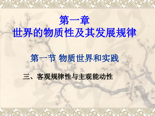 第一章第一节客观规律性与主观能动性