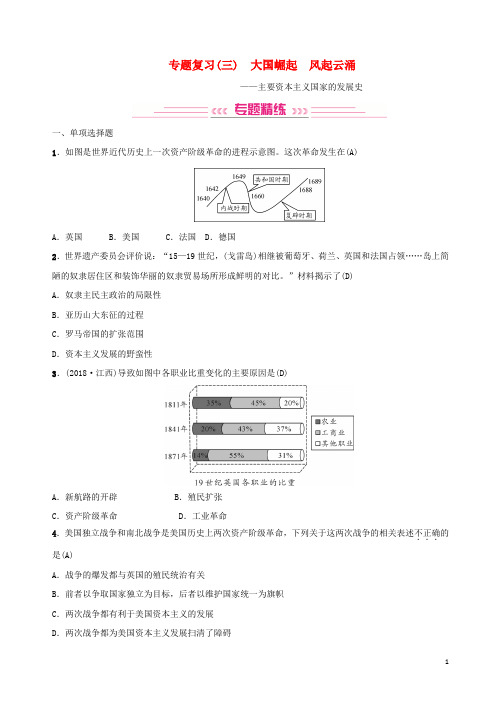 2019年中考历史复习 专题复习(三)大国崛起 风起云涌练习