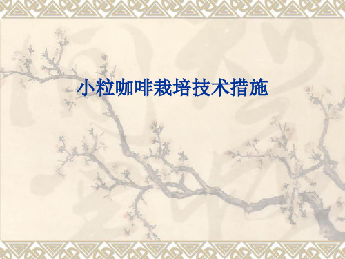 小粒咖啡栽培技术措施