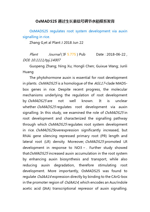 OsMADS25通过生长素信号调节水稻根系发育