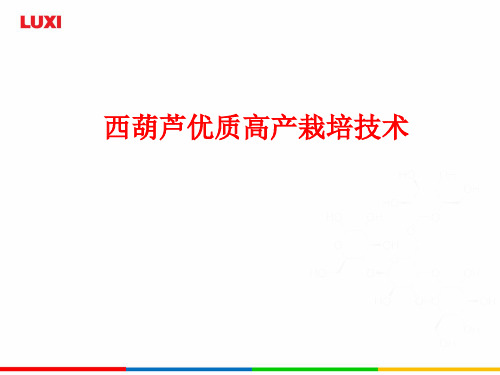 西葫芦优质高产栽培技术