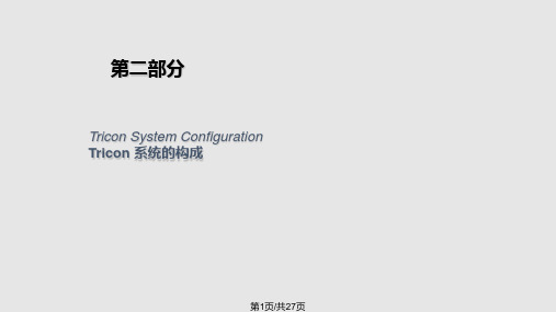 硬件 Tricon的系统结构二PPT课件