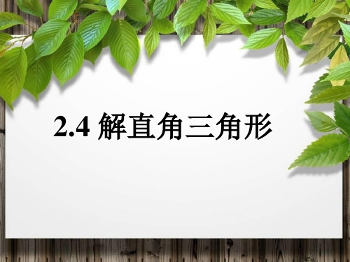 《解直角三角形》教学PPT课件【青岛版九年级数学上册】