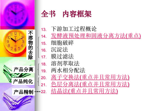 chapter+13+下游加工过程概论_PPT幻灯片