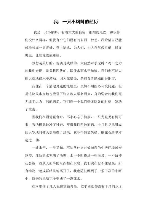 我：一只小蝌蚪的经历