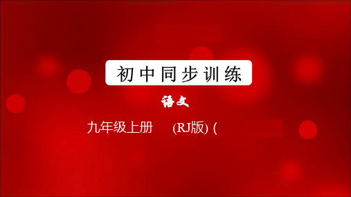 九年级语文上册期末专题训练(初中语文同步训练)