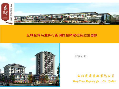 商业步行街项目整体定位及运营思路