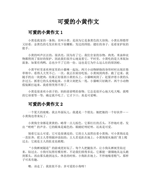 可爱的小黄作文