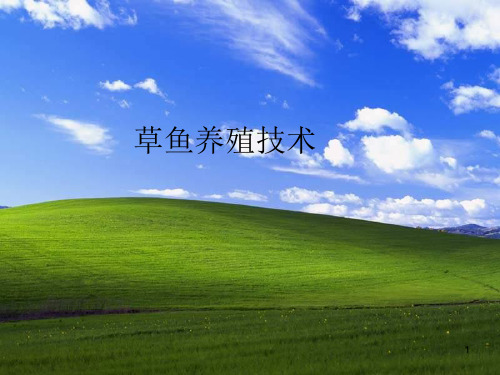 草鱼养殖技术PPT课件