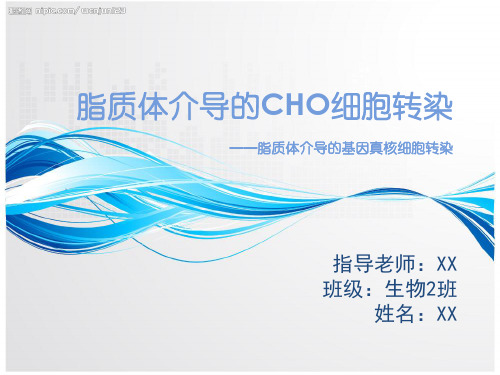 答辩论文-脂质体介导的CHO细胞转染