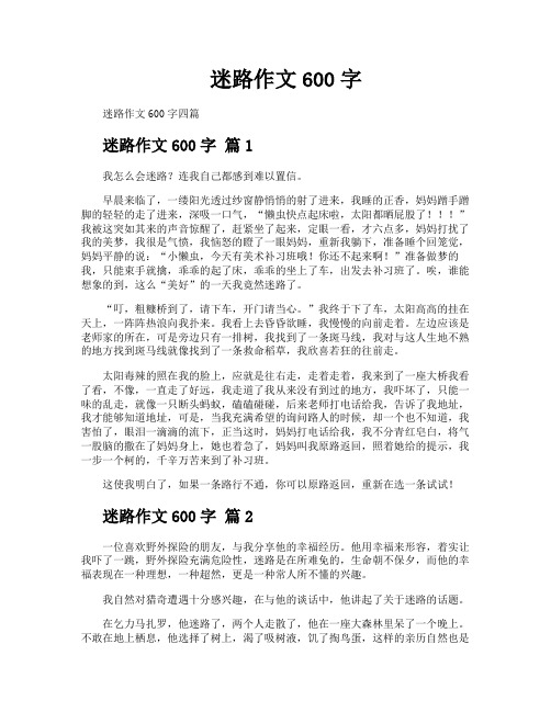 迷路作文600字