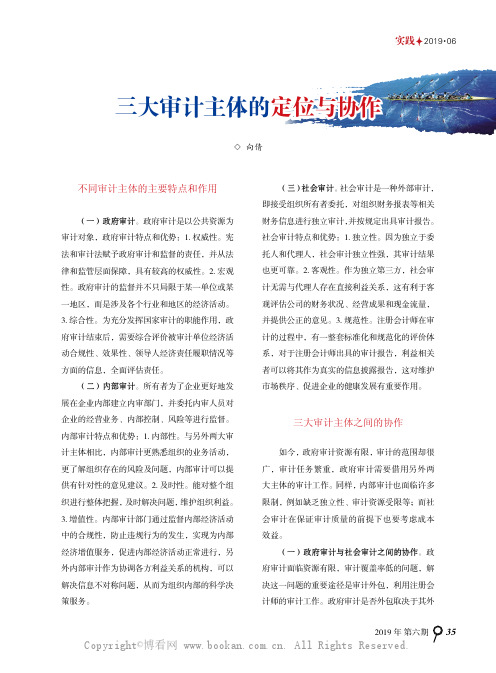 三大审计主体的定位与协作