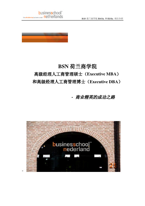 BSN荷兰商学院EMBA和EDBA项目介绍_v3_1