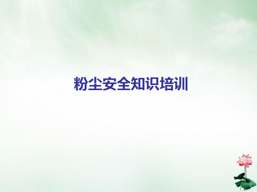 粉尘安全知识培训教材(PPT61页)