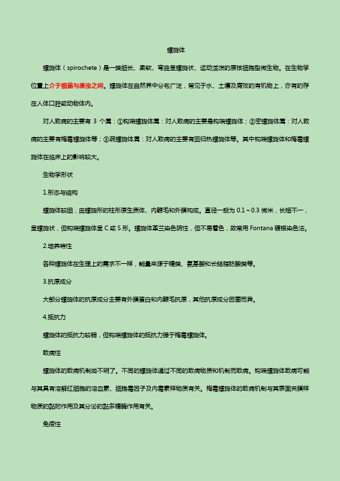 螺旋体详细介绍