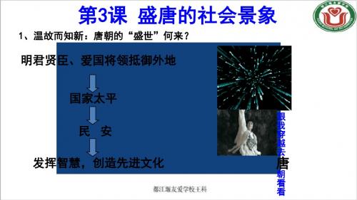 新川版第三课盛唐的社会景象
