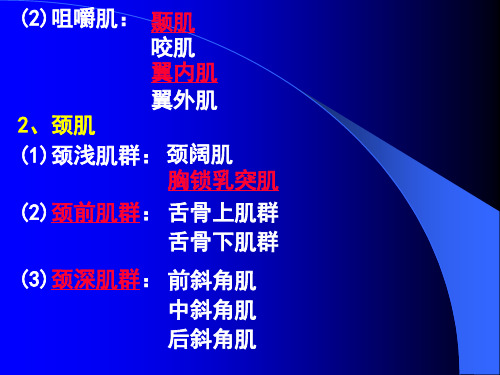 全身骨骼肌
