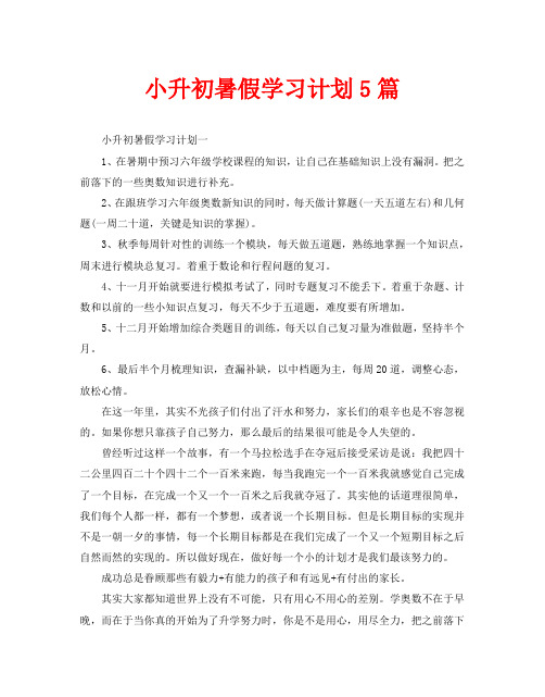 小升初暑假学习计划5篇