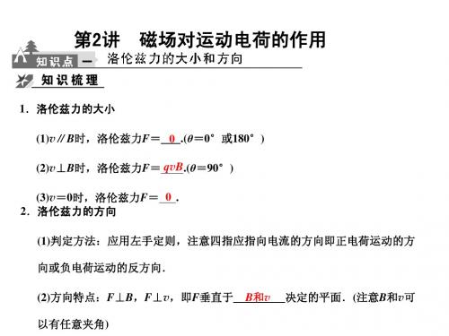 复习3磁场对运动电荷的作用及粒子在磁场中的运动