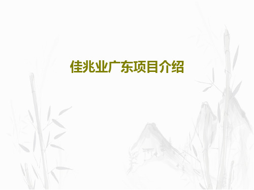 佳兆业广东项目介绍44页PPT