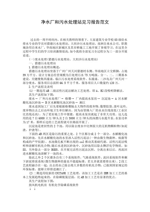 净水厂和污水处理站见习报告范文