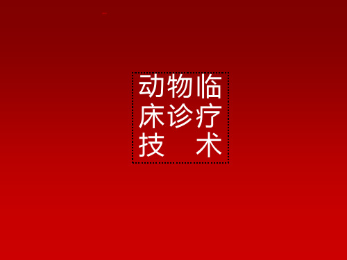 兽医临床诊疗技术