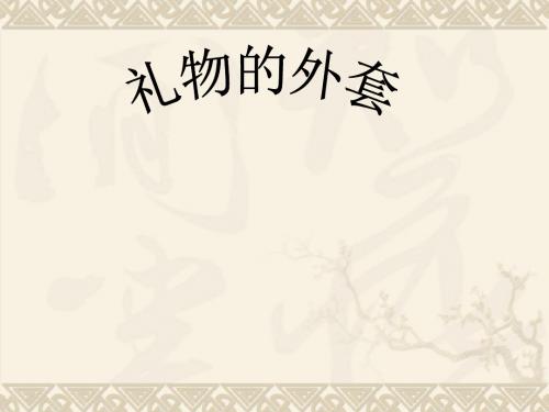 人教版小学美术五年级上册《礼物的外套》课件1