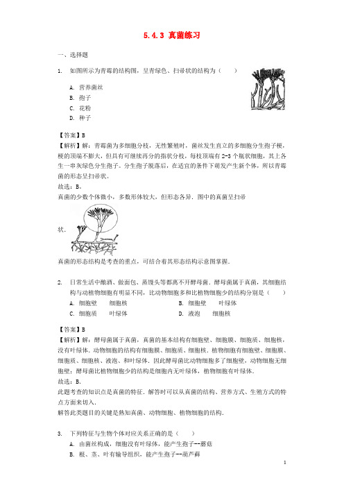 最新学年八年级生物上册 5.4.3 真菌练习(含解析)(新版)新人教版(考试必备)