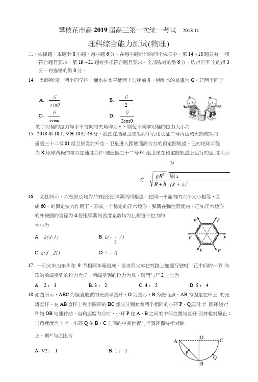 四川省攀枝花2019届高三第一次统考试题(物理).doc