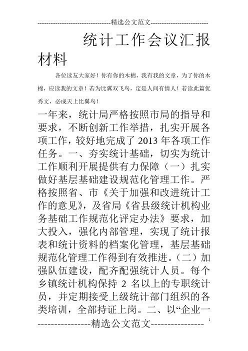 统计工作会议汇报材料
