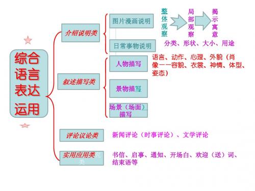 时评写作指导