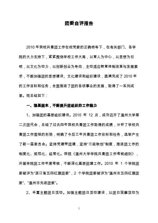 团委自评报告