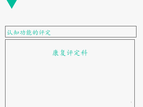 认知功能的评定  ppt课件