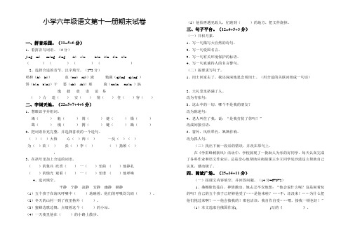 小学六年级语文第十一册期末试卷