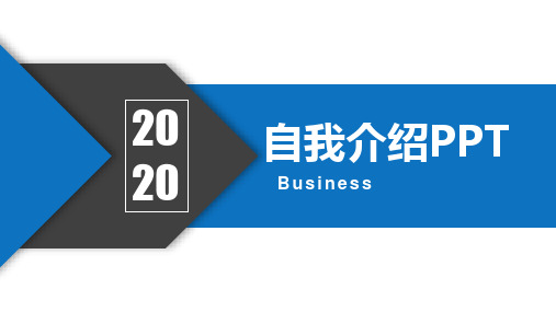 个人项目经验介绍简介PPT