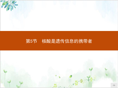 核酸是遗传信息的携带者【新】人教版高中生物必修一PPT完美版