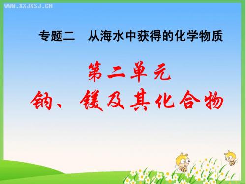 钠、镁及其化合物