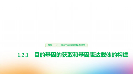 高中生物选修3精品课件：1.2.1 目的基因的获取和基因表达载体的构建