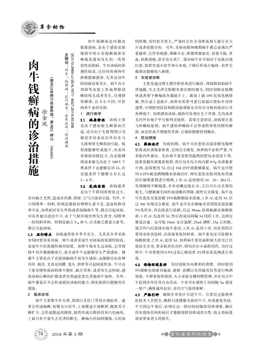 肉牛钱癣病的诊治措施